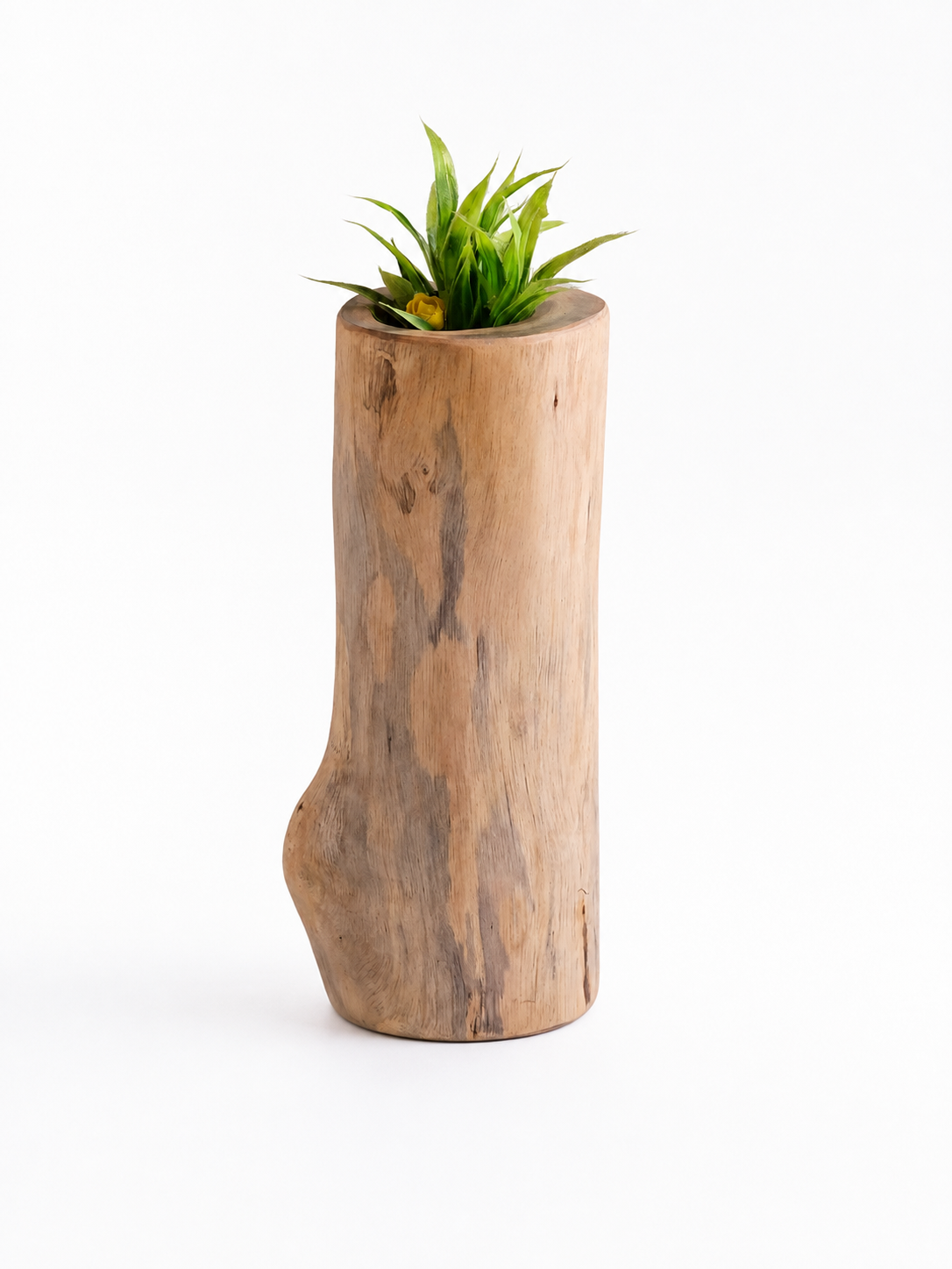 Canary Vases